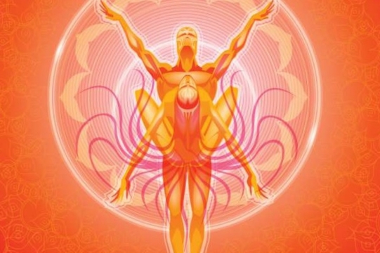 tantra by ujjal sastri online astrology